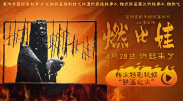 欧美乱论