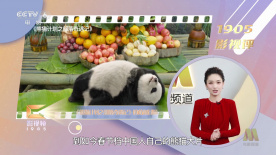韩漫黄